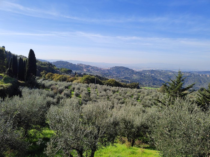 Foto Panorama di Firenze